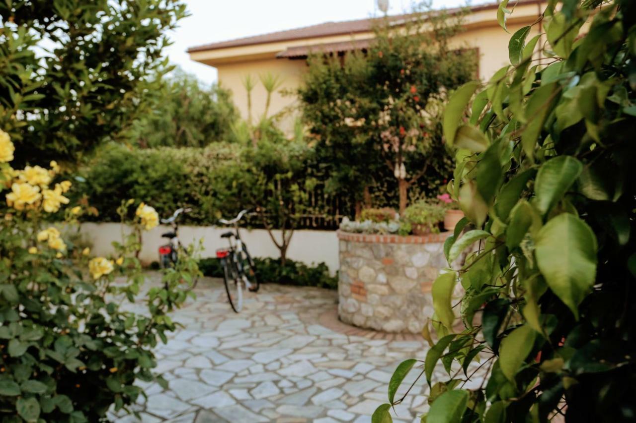 Zama Bed&Breakfast Scalea Eksteriør bilde